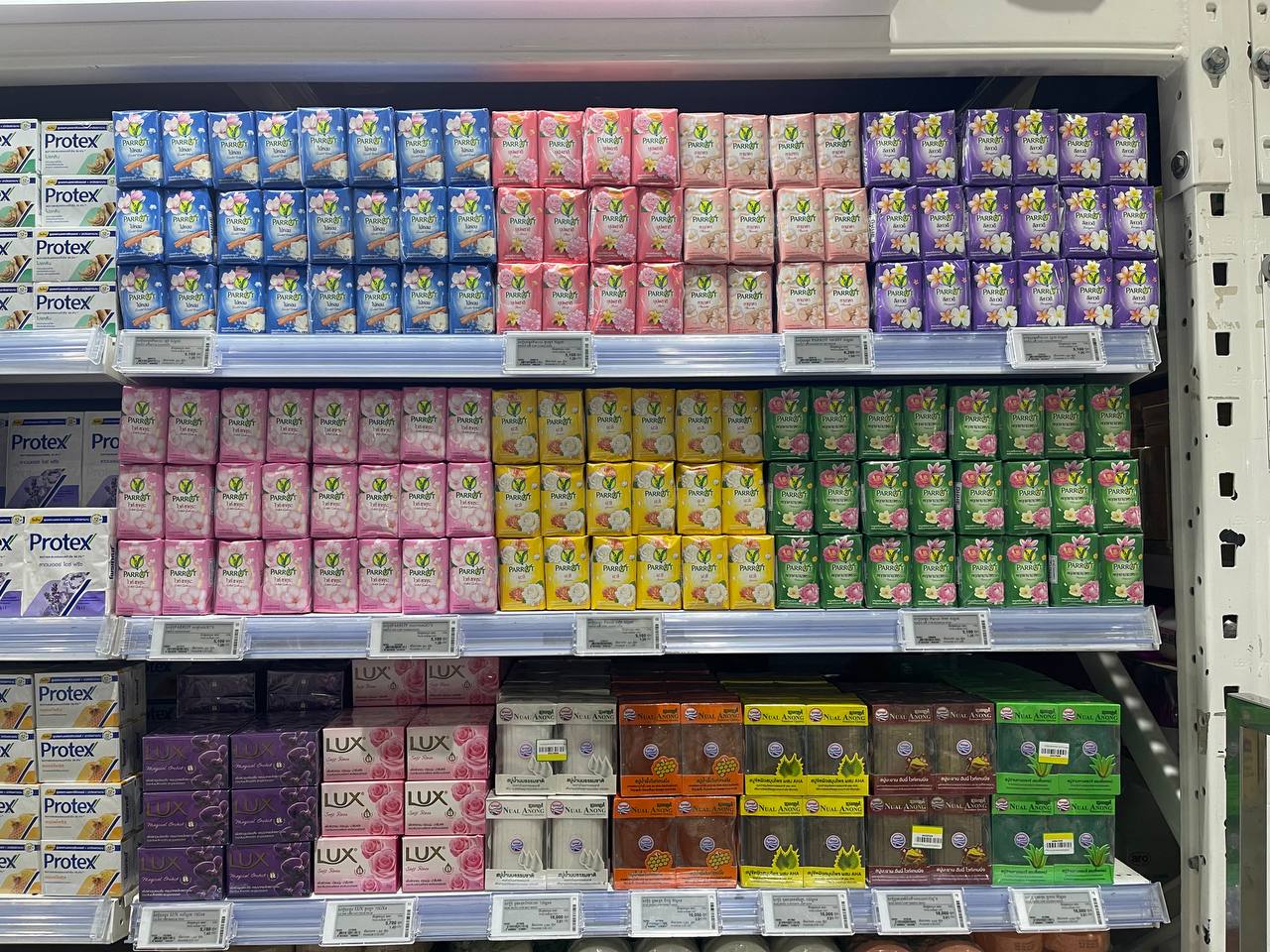Modern Trade Distribution of Cellox and Hygienist Products by BJC at Makro Cambodia - Image 9